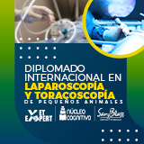 DIPLOMADO INTERNACIONAL EN LAPAROSCOPÍA